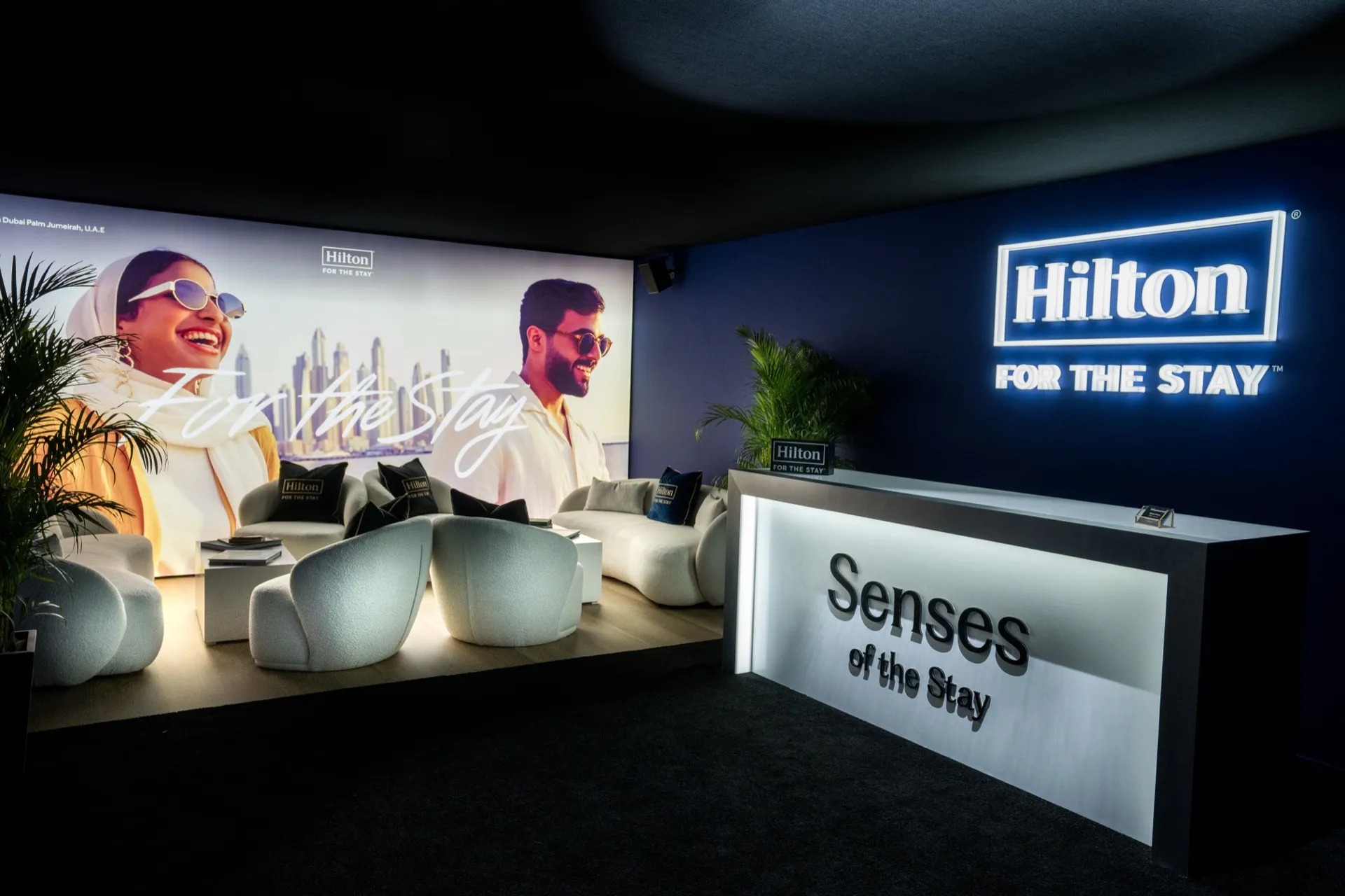 Senses of The Stay